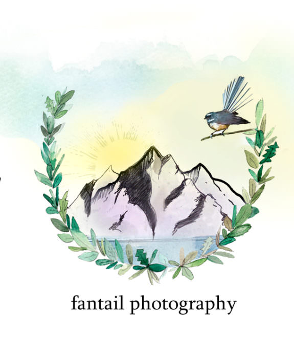 fantail photography